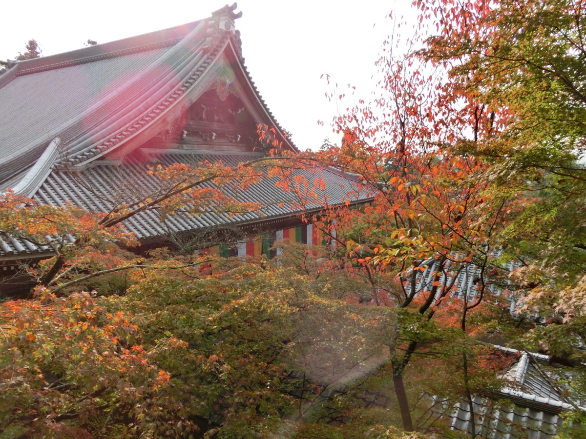 京都の紅葉＠永観堂(’13年11月7日)
